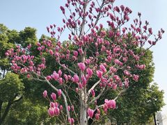 -江南大学(蠡湖校区)