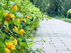 -元大都城垣遗址公园