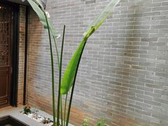 -归觅·西关小姐人文艺术馆(荔枝湾店)