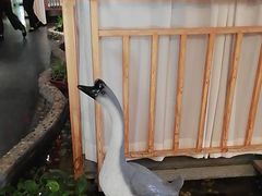 -醉霖生态餐厅(交大店)