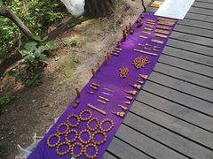 -帽儿山国家森林公园