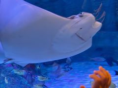 -沈阳海洋探索中心