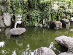 -西安青龙寺遗址景区