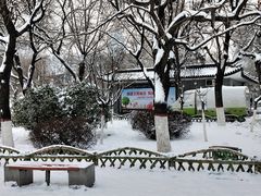 -文瀛公园