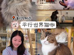 -平行世界·猫咖(首经贸店)
