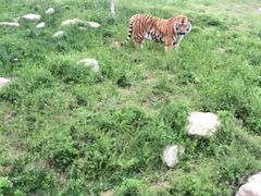 秦岭野生动物园-西安秦岭野生动物园