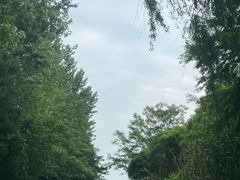 -动邦皮划艇·桨板·独木舟·团建户外运动俱乐部