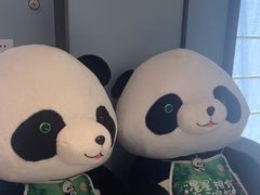 -眉州东坡(望京店)