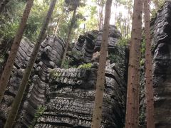 -梭布垭石林景区