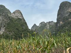 -明仕田园