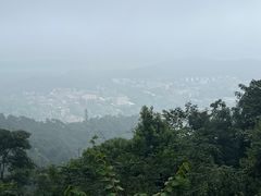 -岳麓山风景名胜区