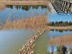 -野鸭湖国家湿地公园