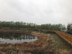 -蒲河岛湿地公园
