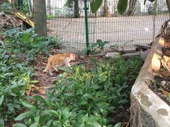 -晓港公园