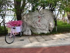 -金鸡湖桃花岛
