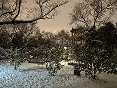 -莲花池公园