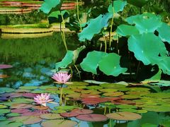 -国家植物园南园