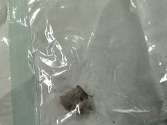 -北京派仕佳德动物医院·超导核磁·CT·神经科·骨科·内外科·急重症管理中心