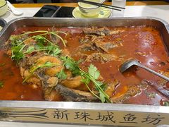 叉尾鱼-新珠城鱼坊(龙湖店)