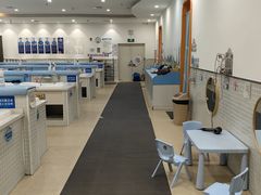 -蓝旗亲子游泳(范湖万达广场店)