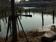 -上海浦江郊野公园-2号停车场