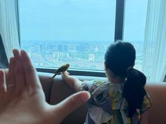 -上海龙之梦万丽酒店