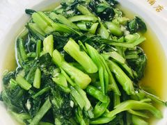 -兴芮温泉度假区