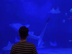 -烟台海昌鲸鲨海洋公园