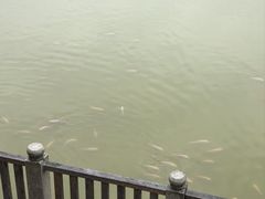 -谷丰健康凤贤居酒家