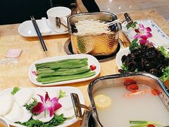 -清真军邺·金富苑肥牛(石坡街旗舰店)