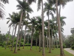 -中国科学院西双版纳热带植物园