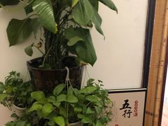 -老成都·古法采耳·禅洗头疗(四川总店)