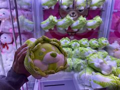 -PAWTOY爪e玩偶店(天兴罗斯福店)