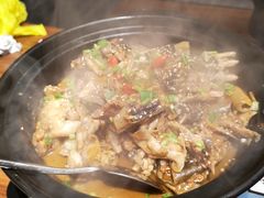 甲鱼-鳖皇甲鱼餐厅(平阳路店)
