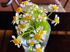 -时光吧·大堂吧·丽江和府洲际度假酒店