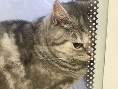 -佳雯宠物医院·皮肤科·内外科(春晓路分院)