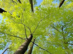 -蜀冈西峰生态公园