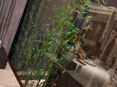 -七味·用心做好鱼(花桥店)