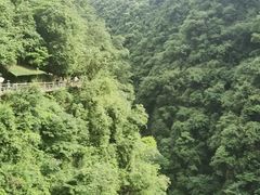 -蝶舞清江·恩施地心谷景区