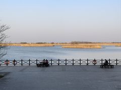 -盐城丹顶鹤湿地生态旅游区