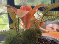 -恬阿姨庭院餐厅·生日宴