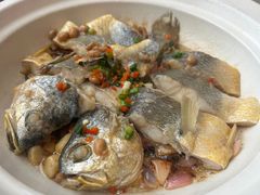 潮煎黄花鱼-潮界(虹桥新天地店)