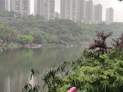 -重庆彩云湖湿地公园
