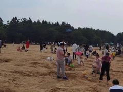 -瑶湖郊野森林公园