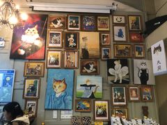 -猫咪博物馆(顶澳仔猫街店)