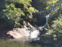 -云岫谷游猎自然风景区