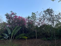 -三亚海棠湾万丽度假酒店