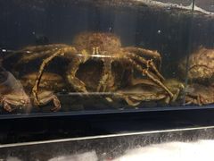 -烧货·活海鲜炭烧(湖滨商业街店)