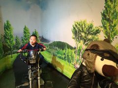 -济州岛泰迪熊博物馆