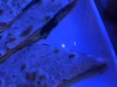 -MARU玛露音乐餐厅(大学路店)
